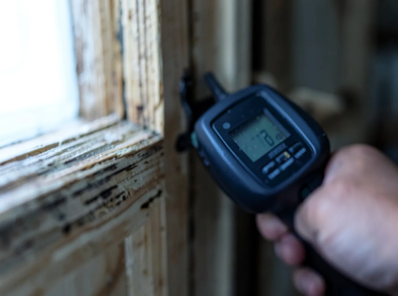 Commercial Water Damage Restoration in Cut Off, LA